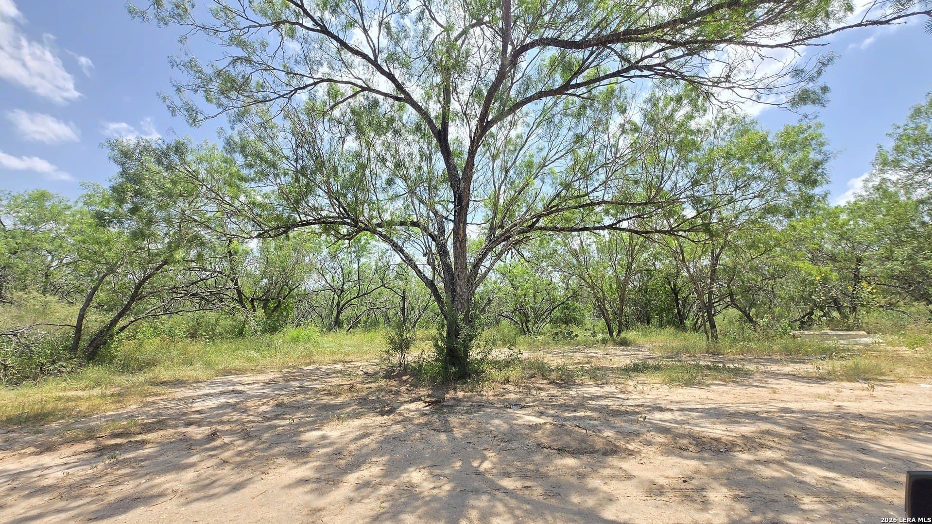 27.67 acres in Atascosa County - photo 27