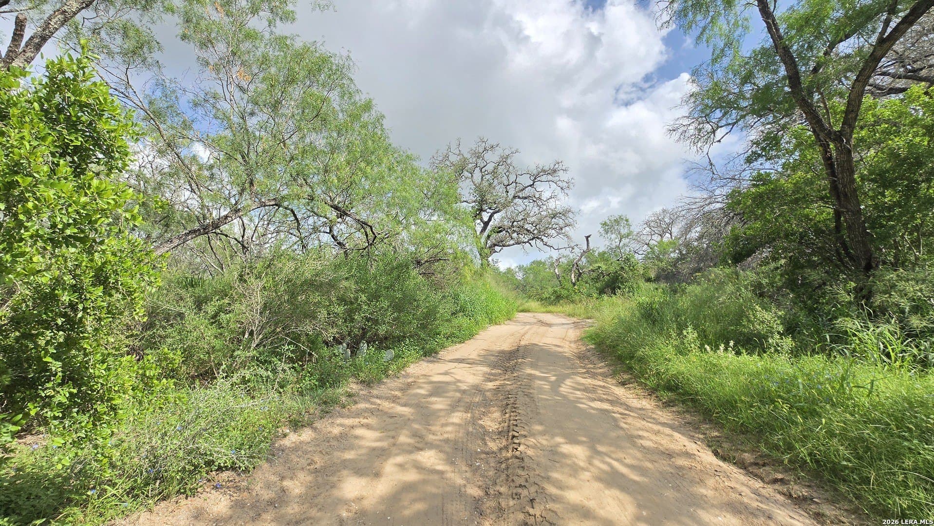 27.67 acres in Atascosa County - photo 8
