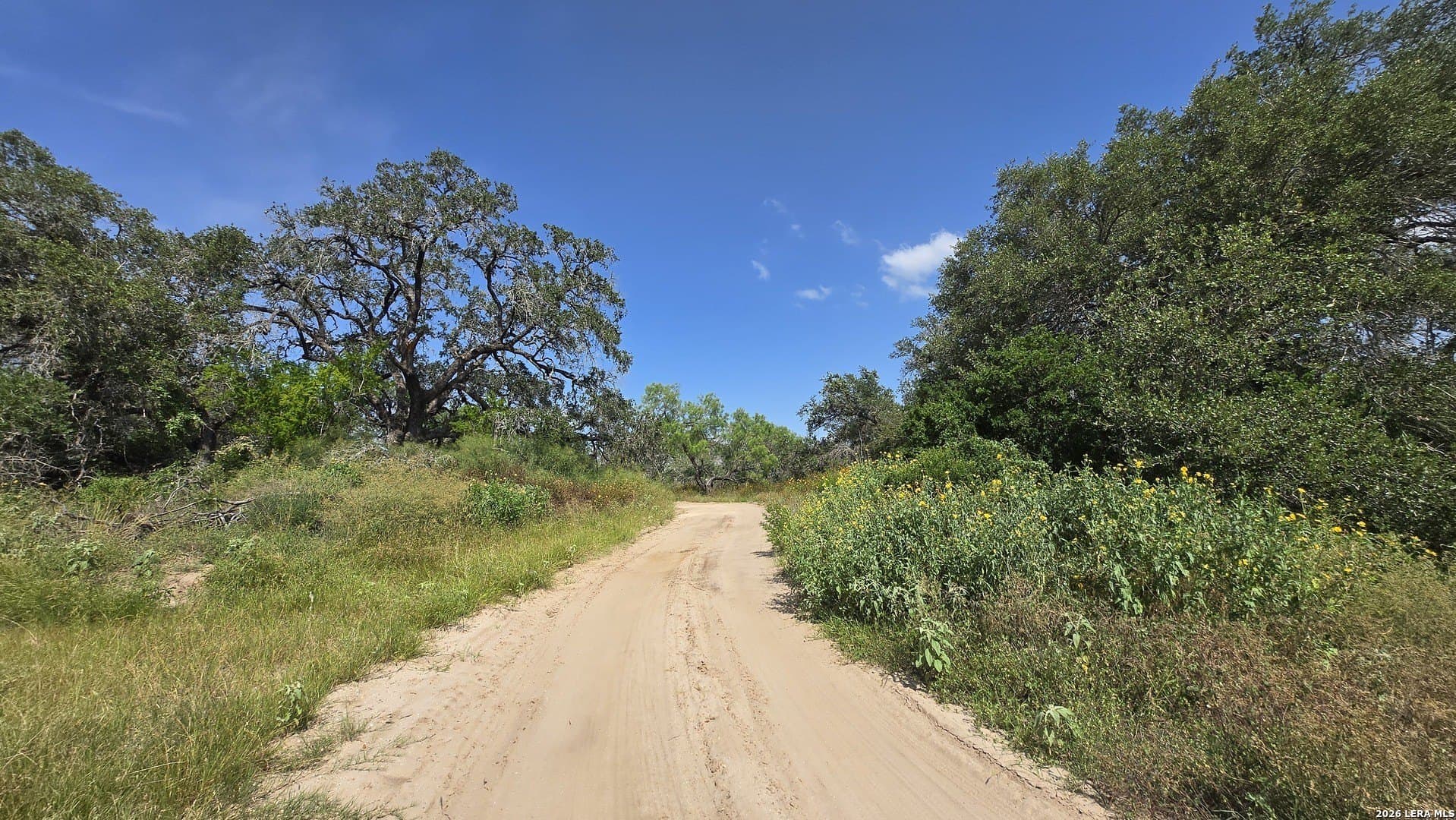 27.67 acres in Atascosa County - photo 14