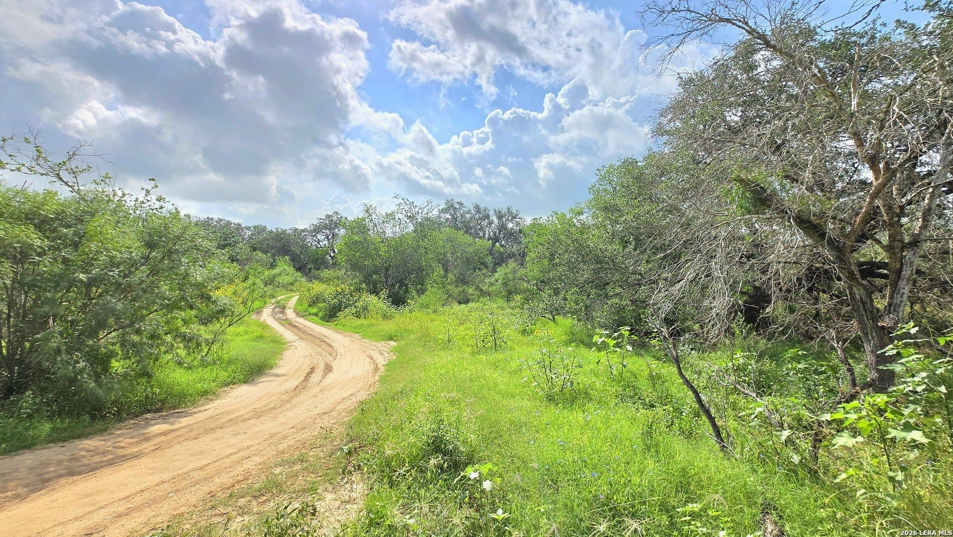27.67 acres in Atascosa County
