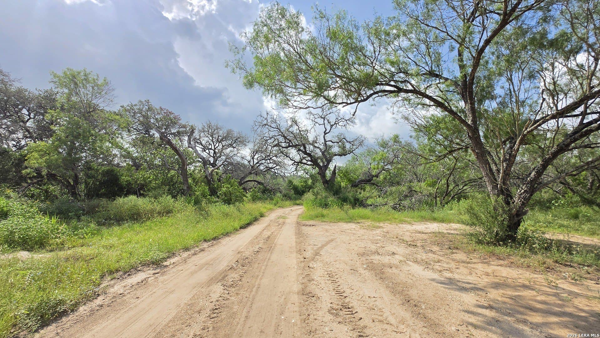 27.67 acres in Atascosa County - photo 13