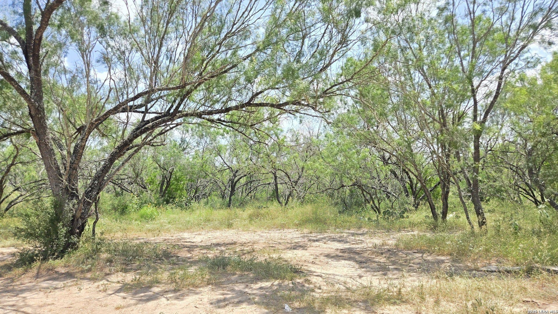 27.67 acres in Atascosa County - photo 16