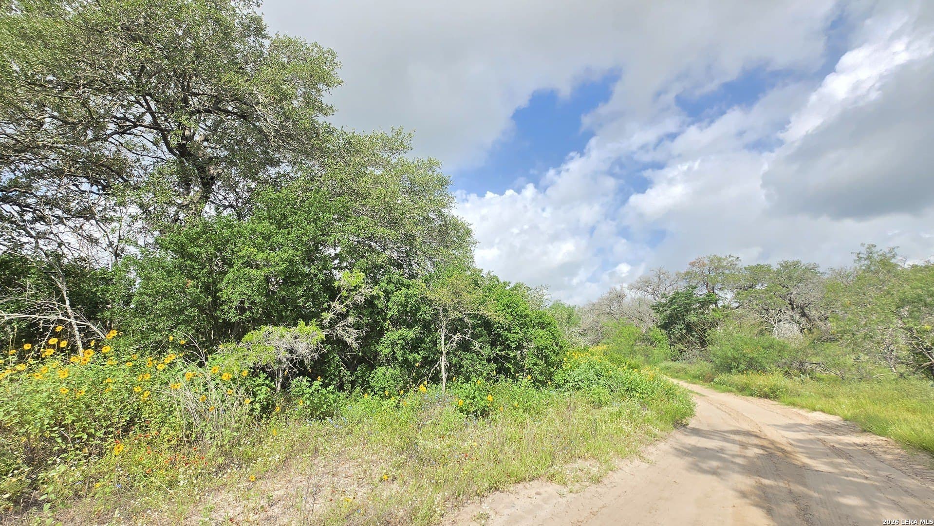27.67 acres in Atascosa County gallery image 4
