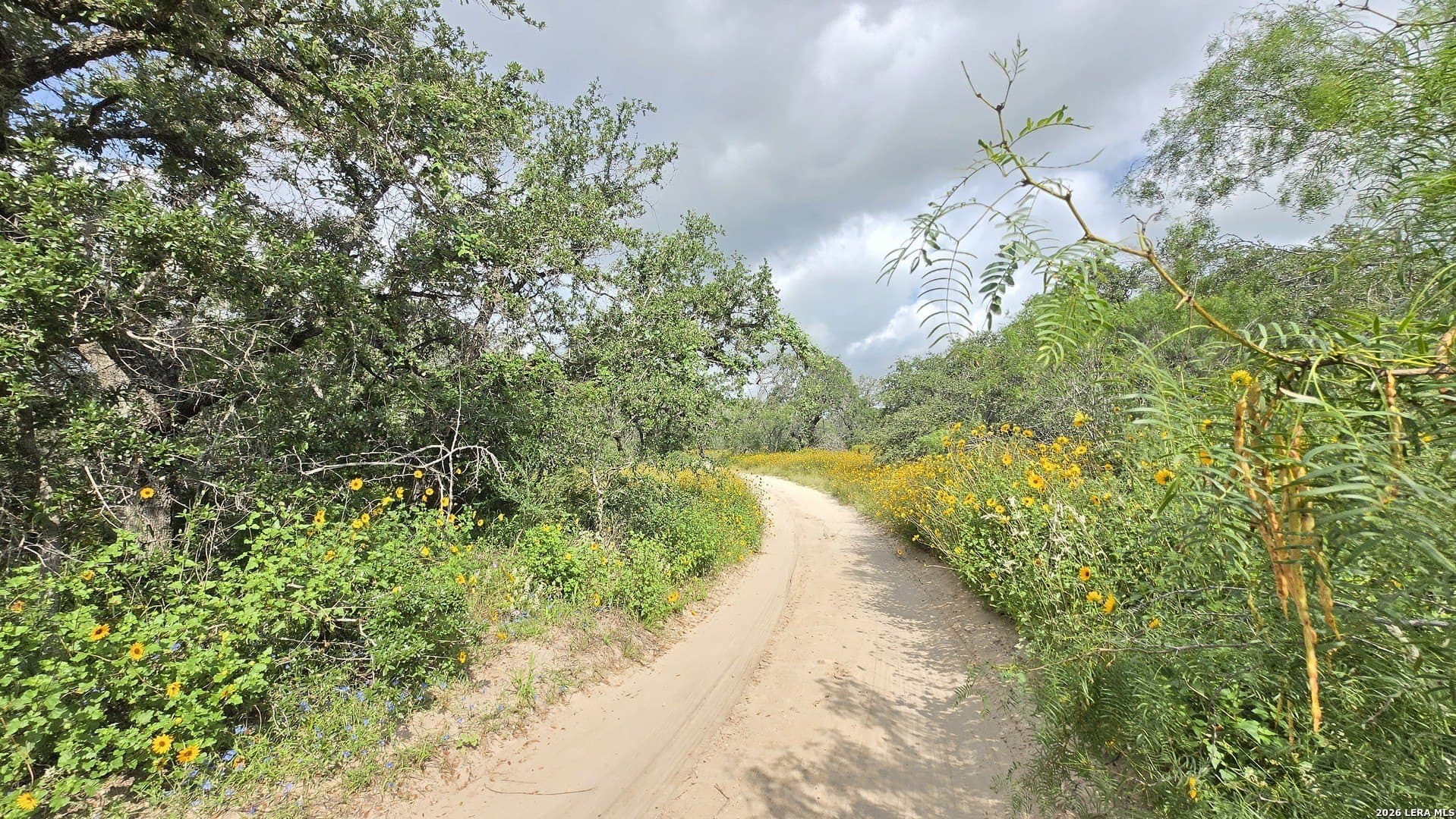 27.67 acres in Atascosa County gallery image 3