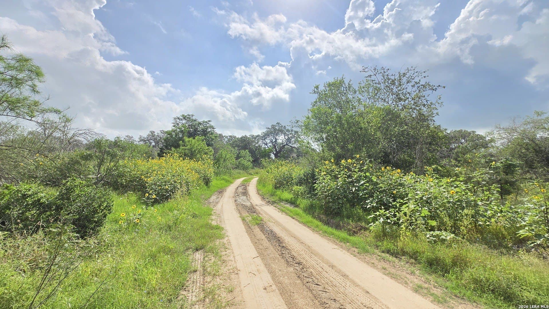 27.67 acres in Atascosa County - photo 29
