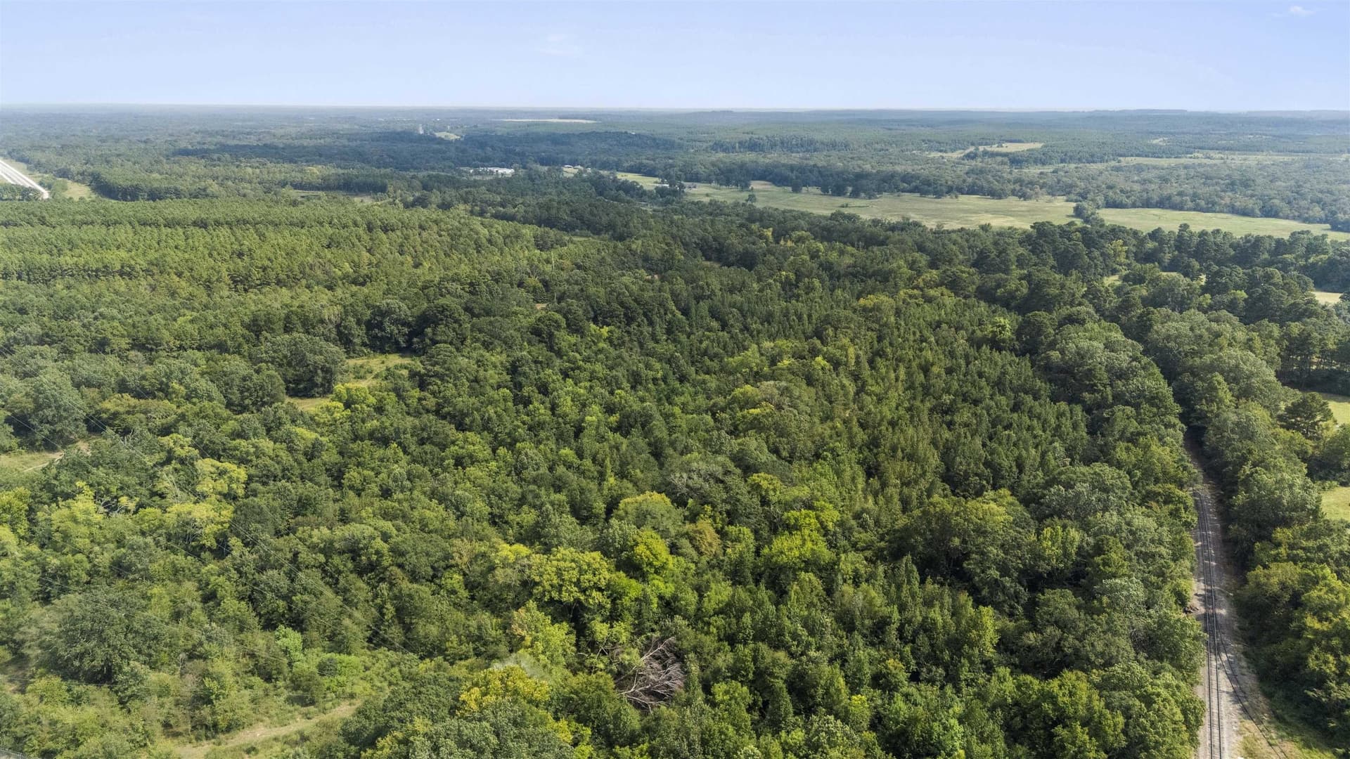 44.99 acres in Panola County gallery image 4