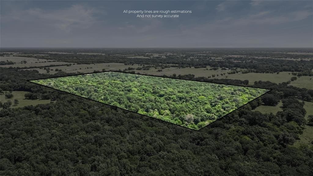 51.93 acres in Hopkins County gallery image 2