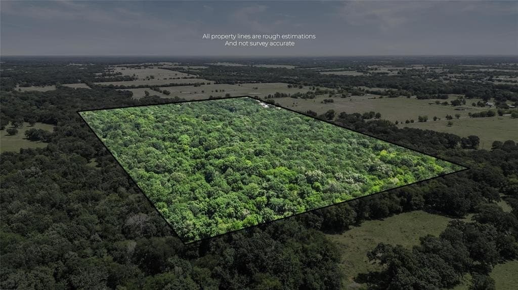 51.93 acres in Hopkins County gallery image 3