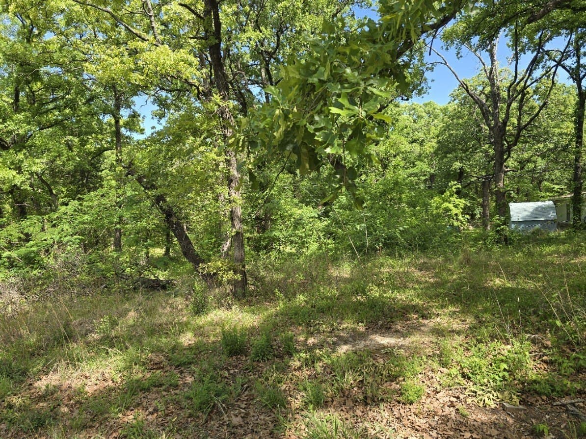 0.12 acres in Henderson County - photo 10