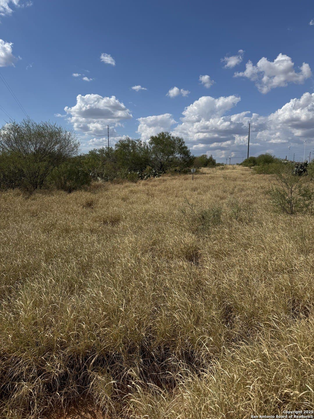 11.37 acres in La Salle County gallery image 4