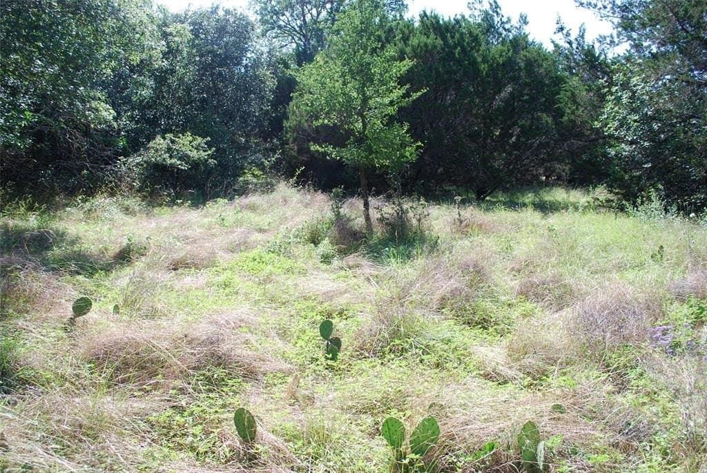 0.26 acres in Hill County featured view