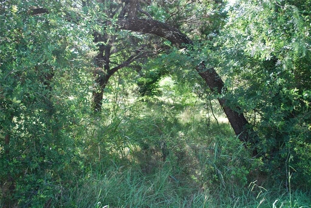 0.26 acres in Hill County gallery image 3