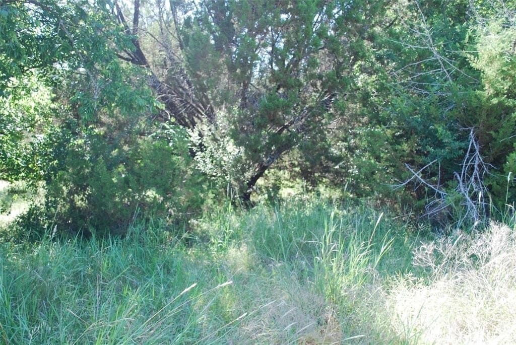 0.26 acres in Hill County gallery image 2