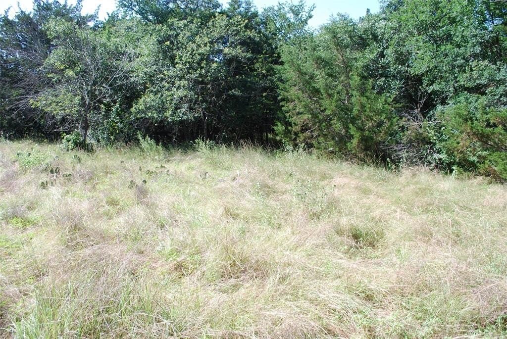 0.26 acres in Hill County gallery image 4
