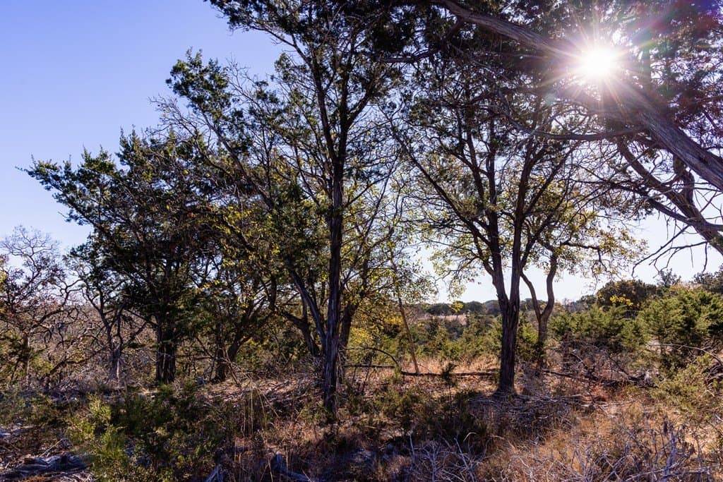 1.3 acres in Kerr County - photo 9