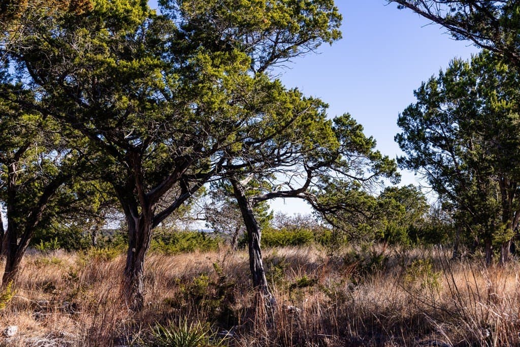 1.3 acres in Kerr County - photo 8