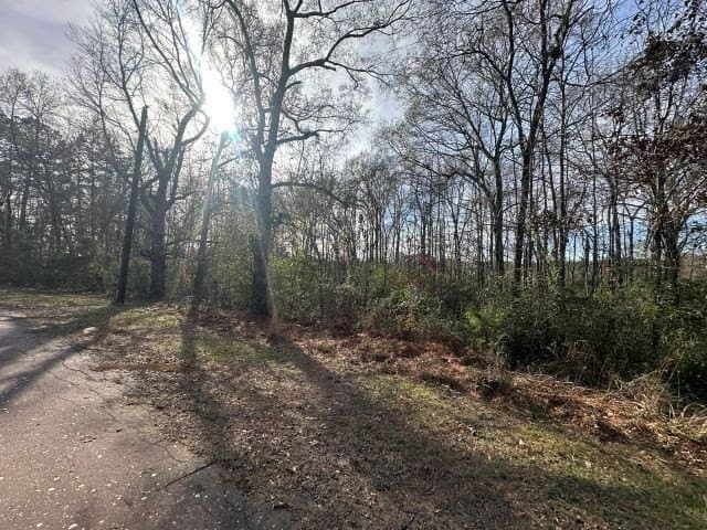 2.1 acres in Texas County - photo 4