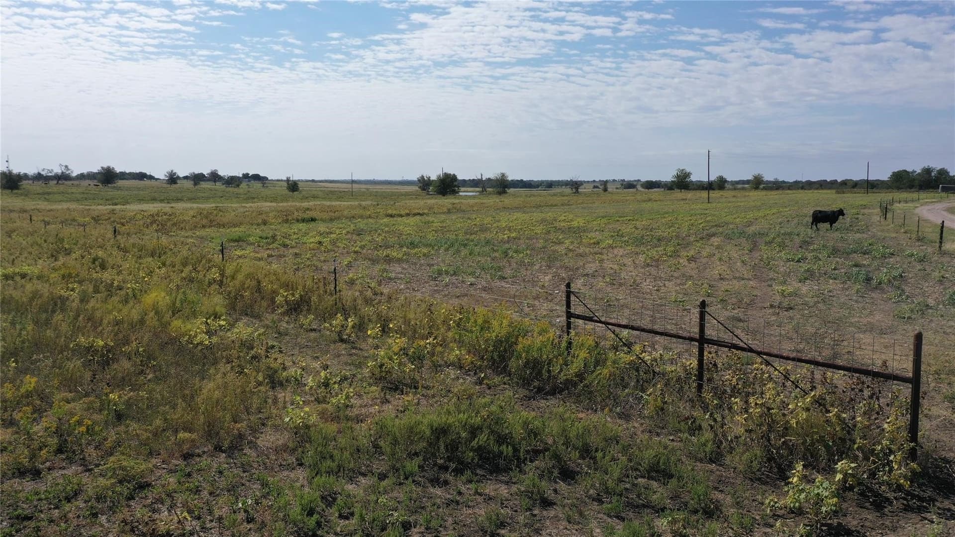 11 acres in McLennan County - photo 7