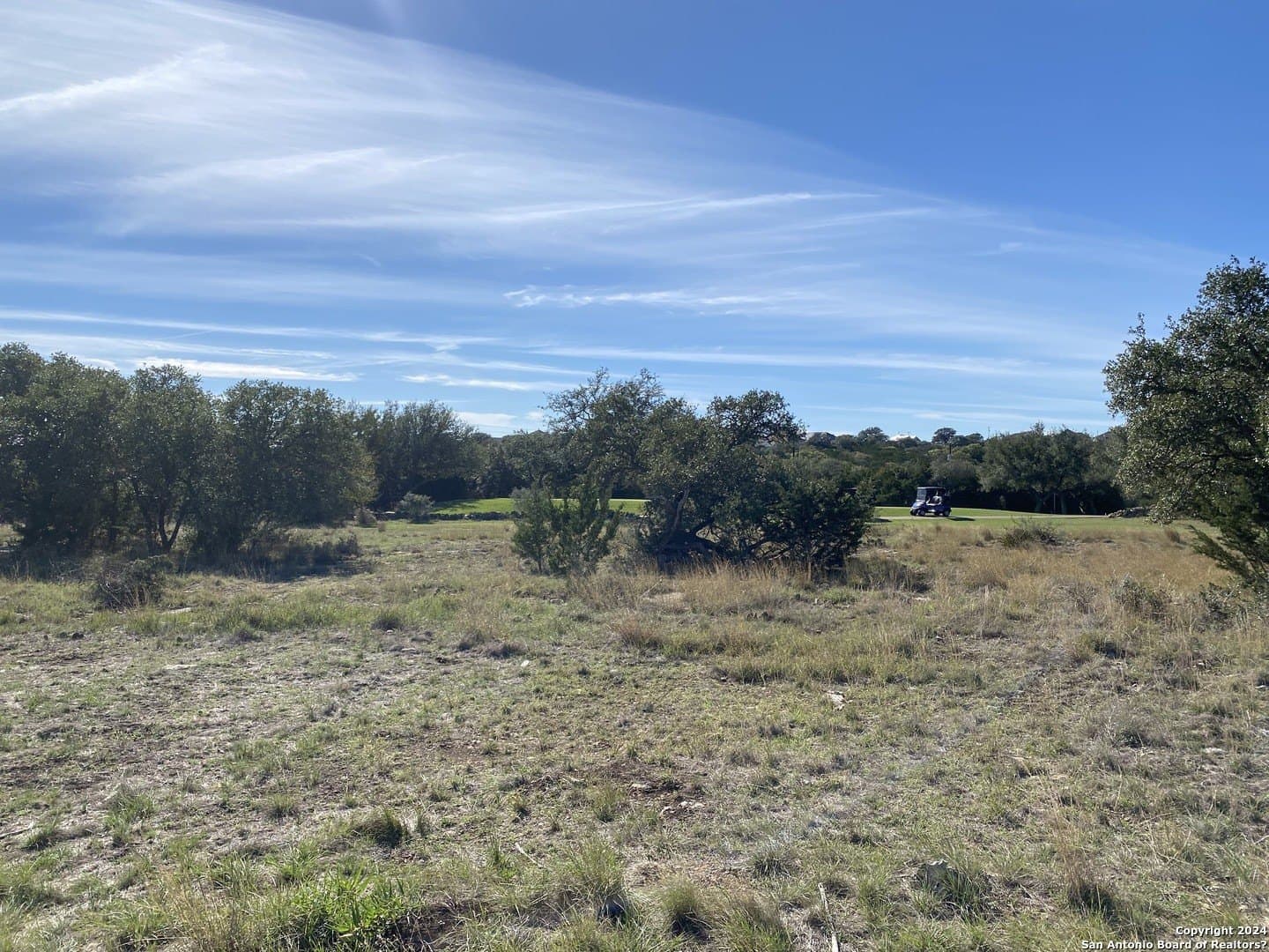 0.2 acres in Blanco County - photo 4