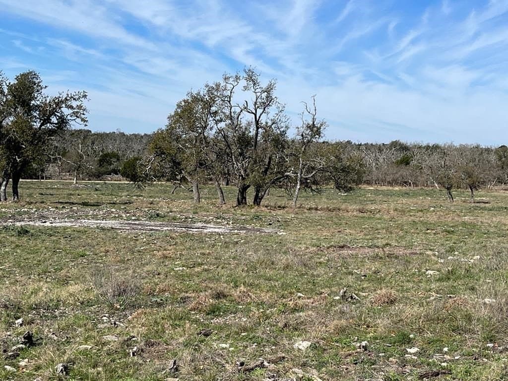 10.1 acres in Gillespie County - photo 12