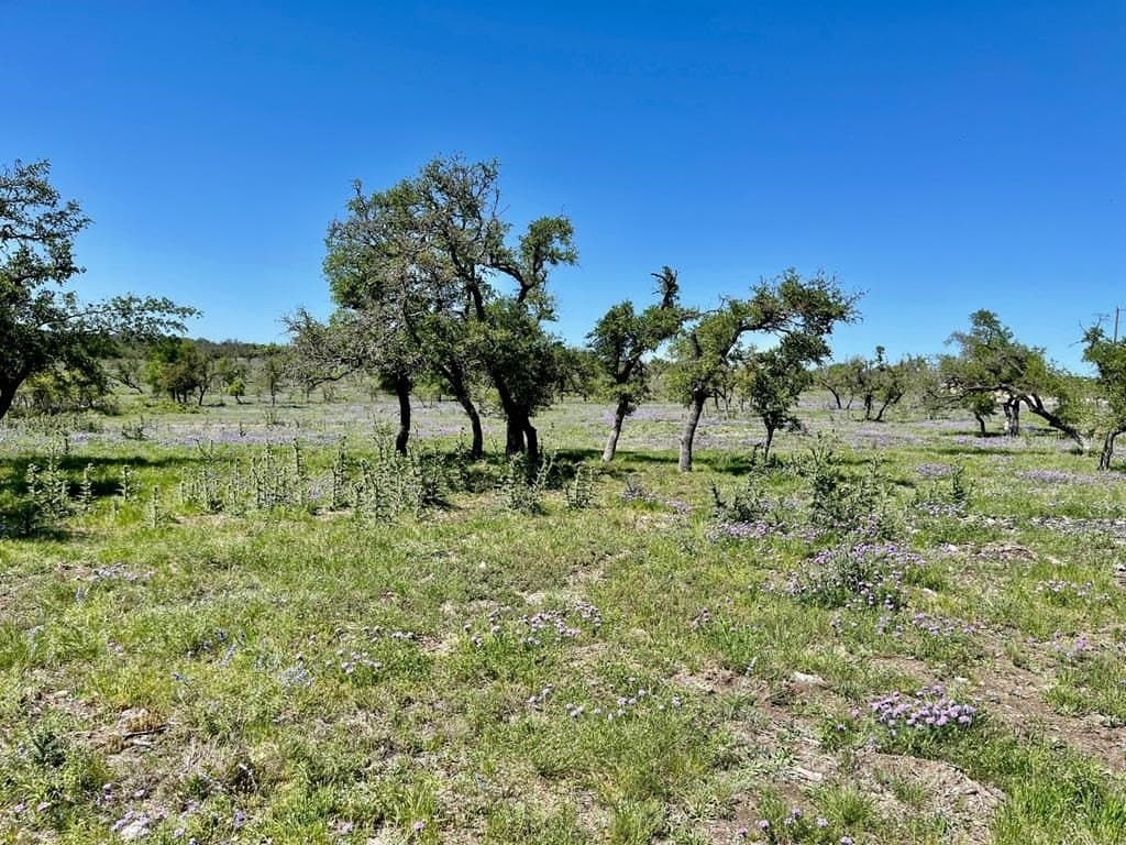 10.1 acres in Gillespie County - photo 7