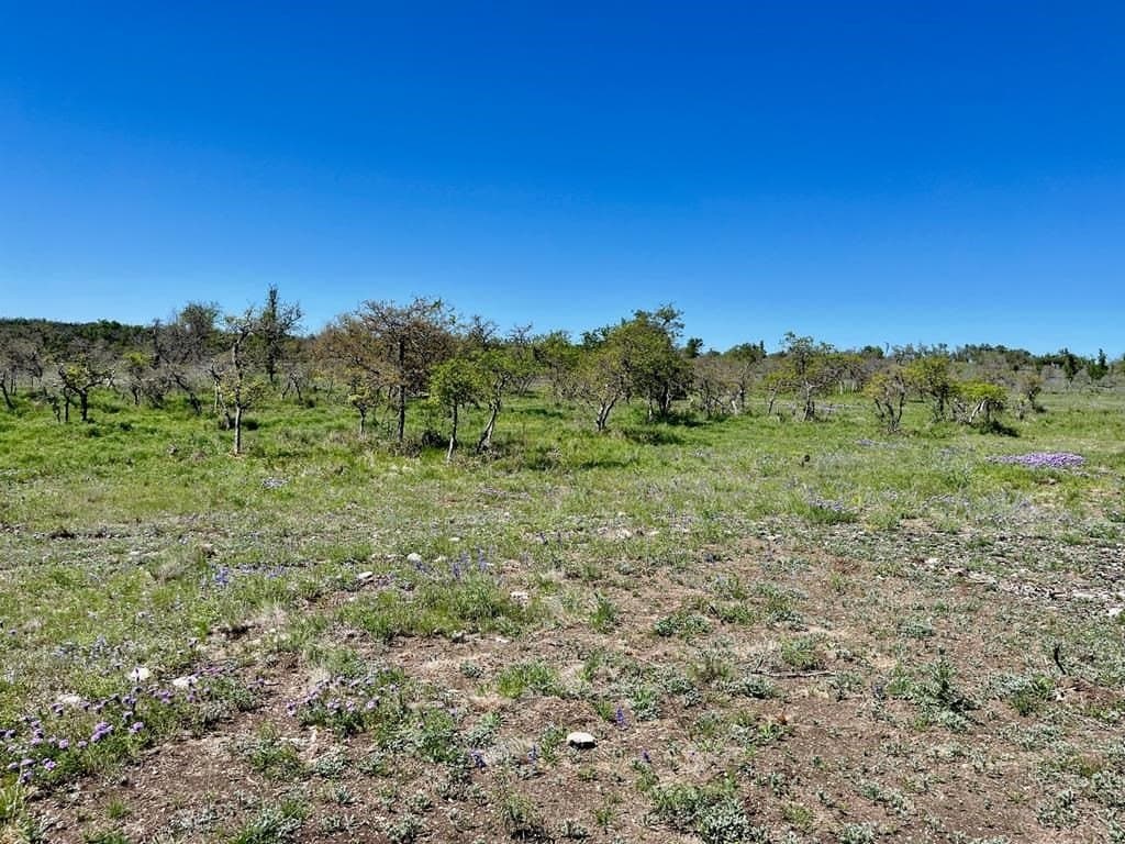 10.1 acres in Gillespie County - photo 8