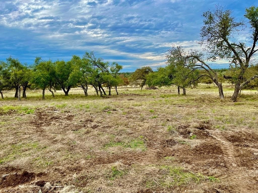 10.1 acres in Gillespie County - photo 6