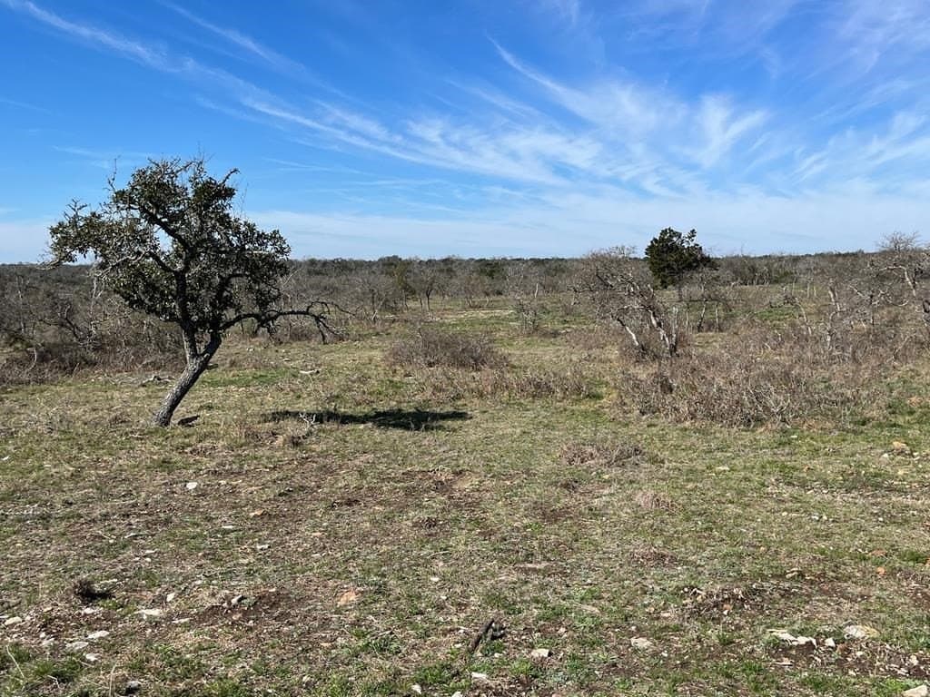 10.1 acres in Gillespie County - photo 13
