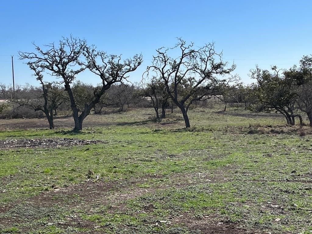10.1 acres in Gillespie County - photo 9