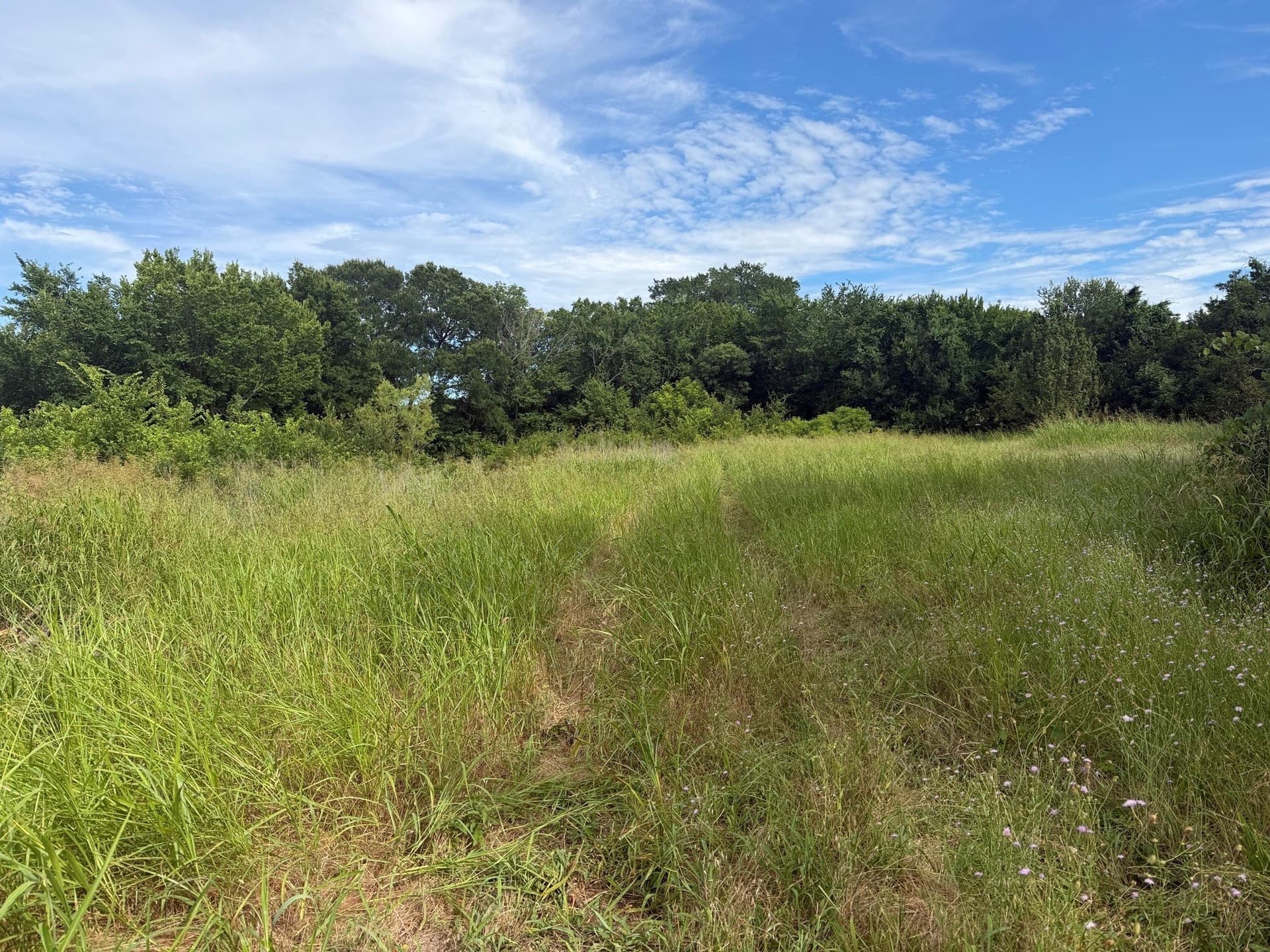 4.92 acres in Collin County - photo 8