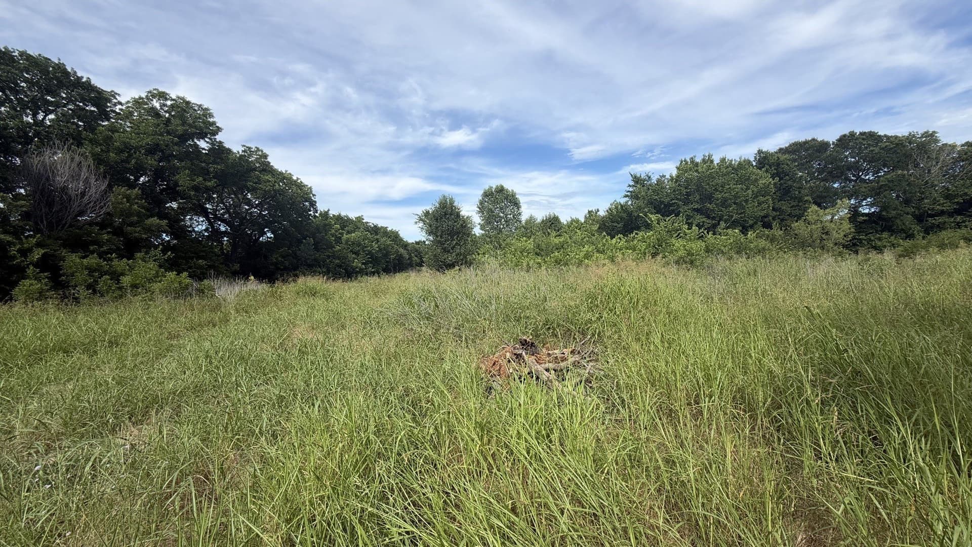 4.92 acres in Collin County gallery image 4