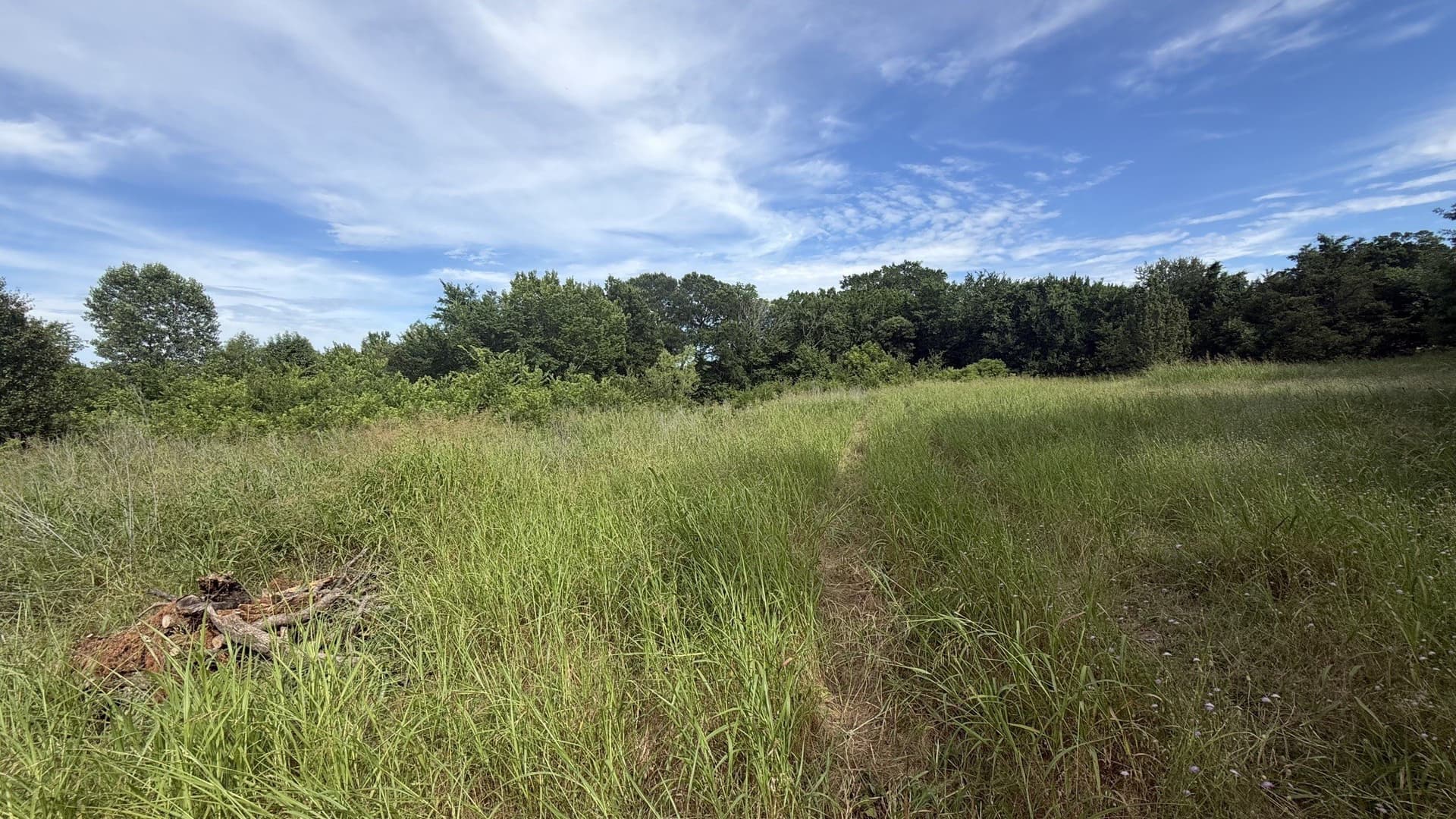 4.92 acres in Collin County featured view