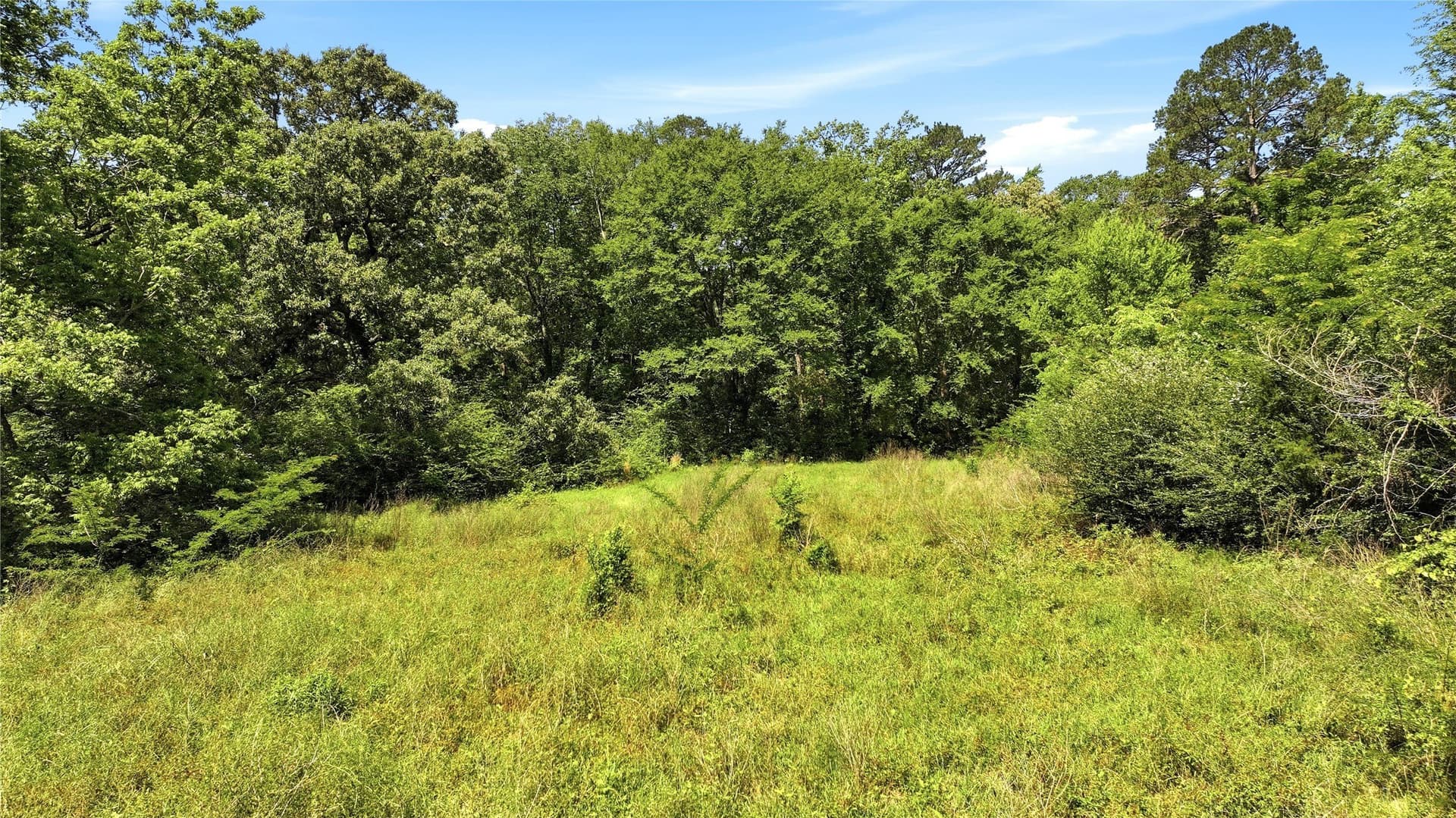 44.64 acres in Cherokee County gallery image 4