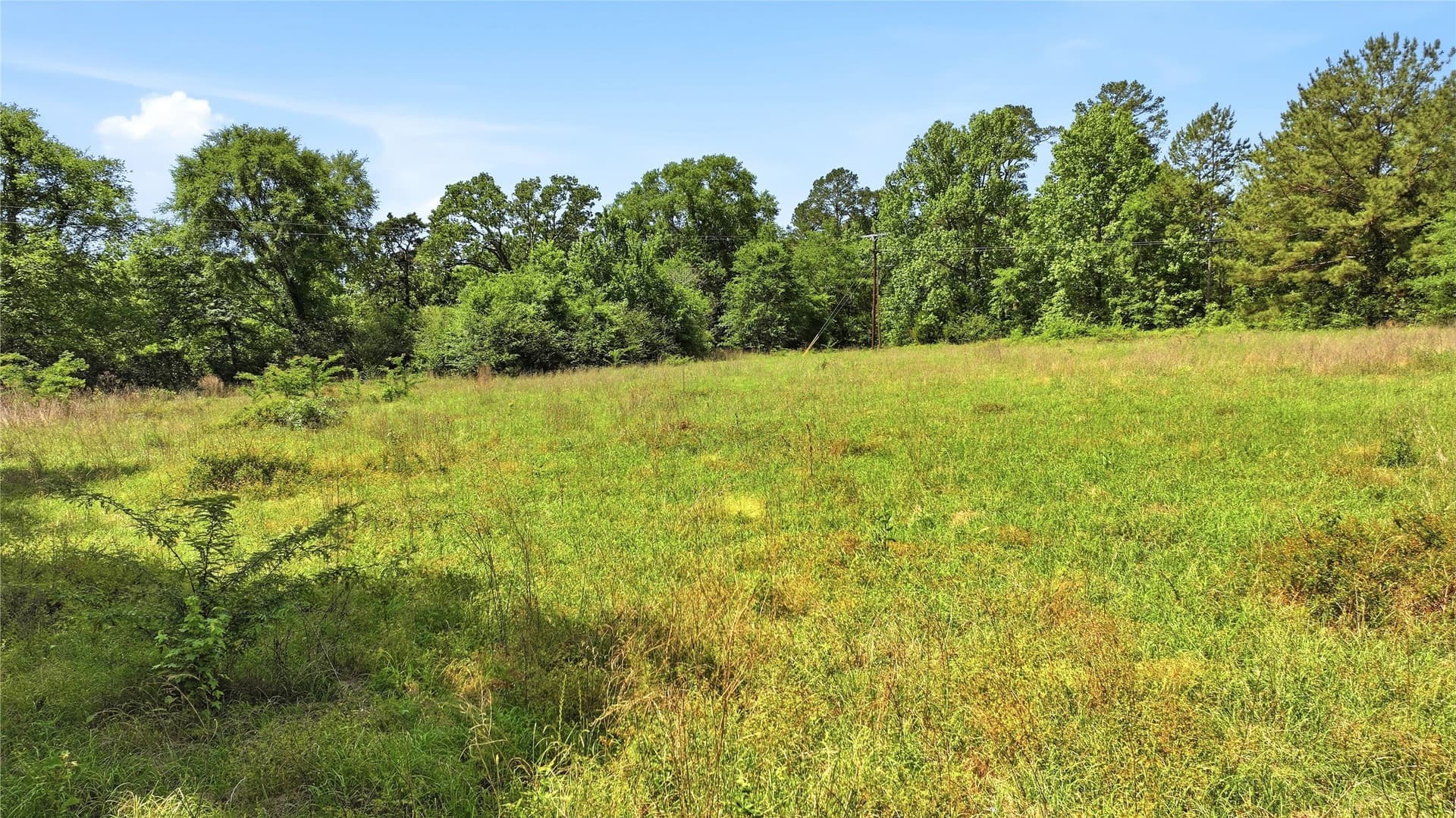 44.64 acres in Cherokee County featured view