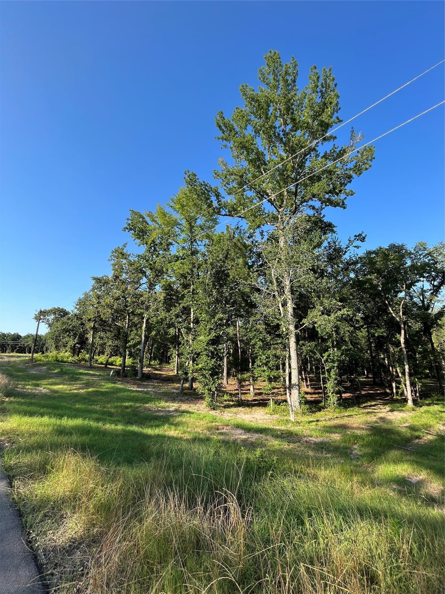 2.38 acres in Henderson County - photo 9