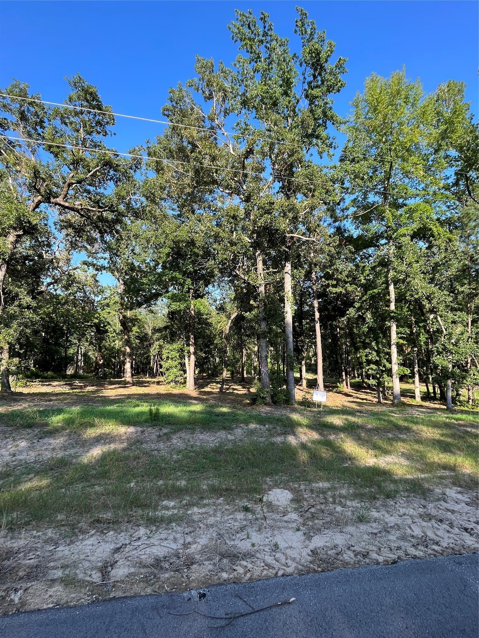 2.38 acres in Henderson County - photo 8
