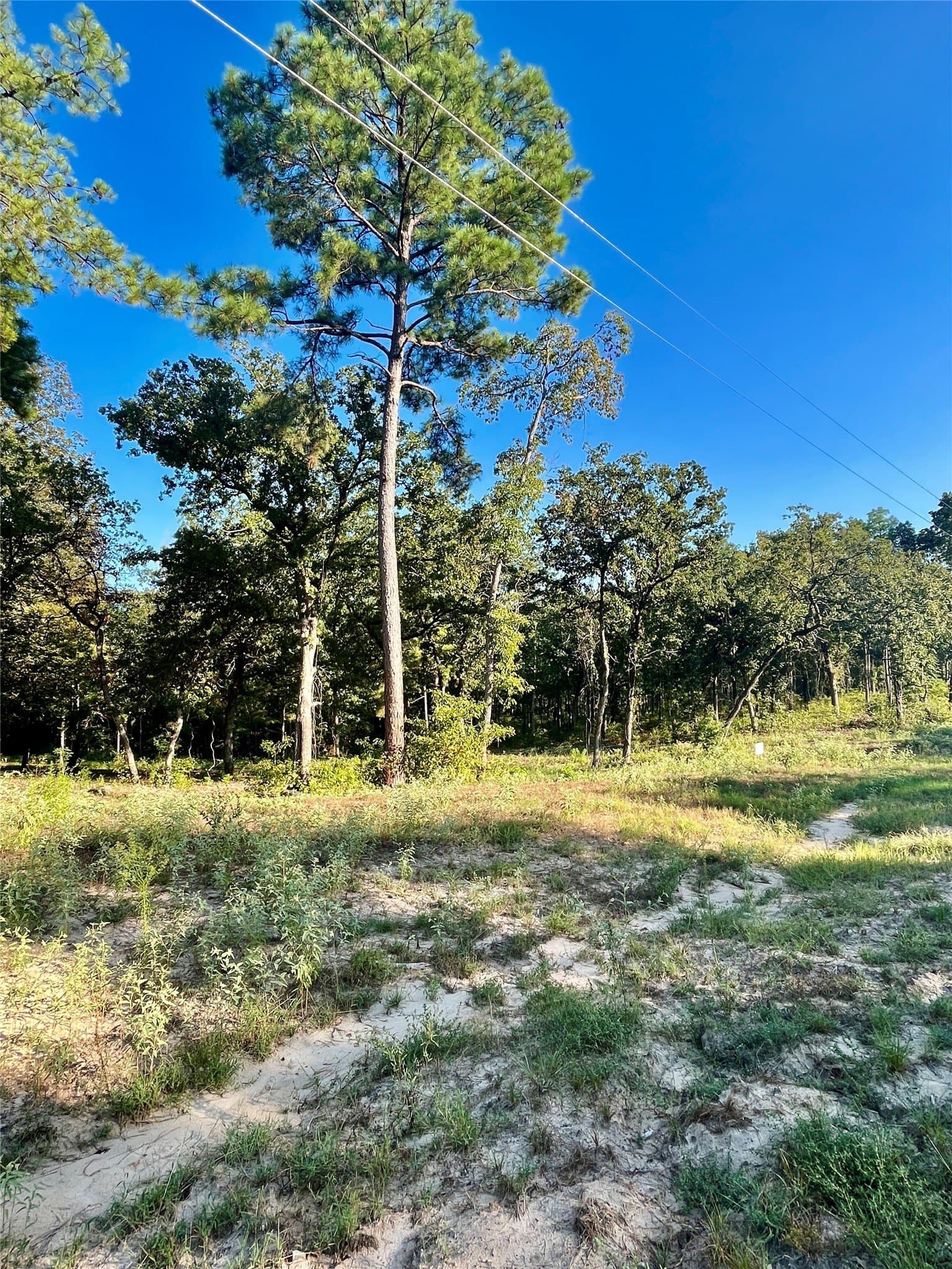 2.38 acres in Henderson County - photo 7