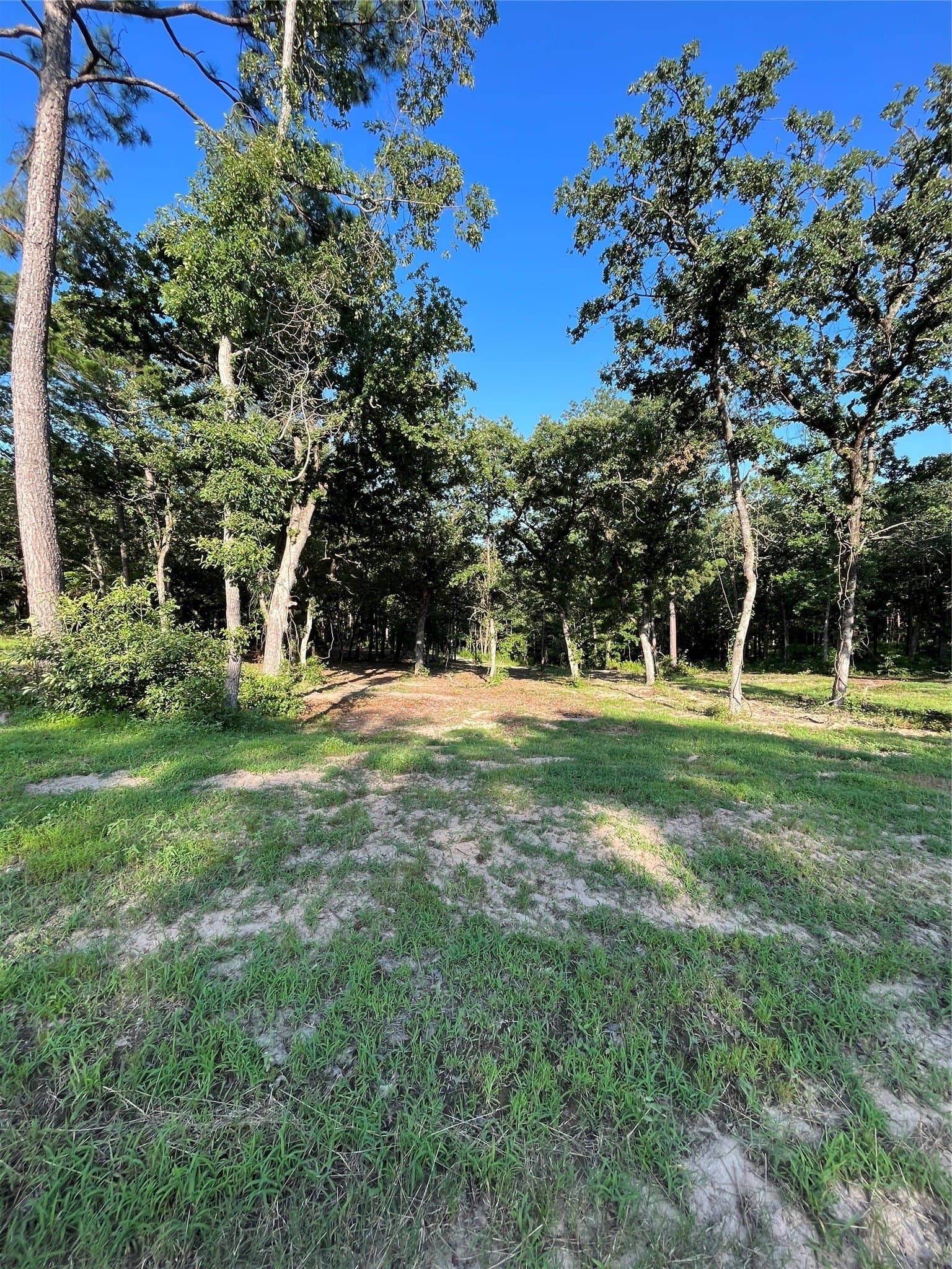 2.38 acres in Henderson County - photo 5