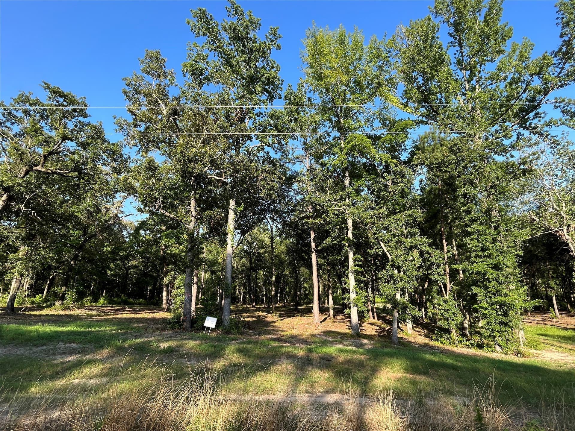 2.38 acres in Henderson County - photo 6