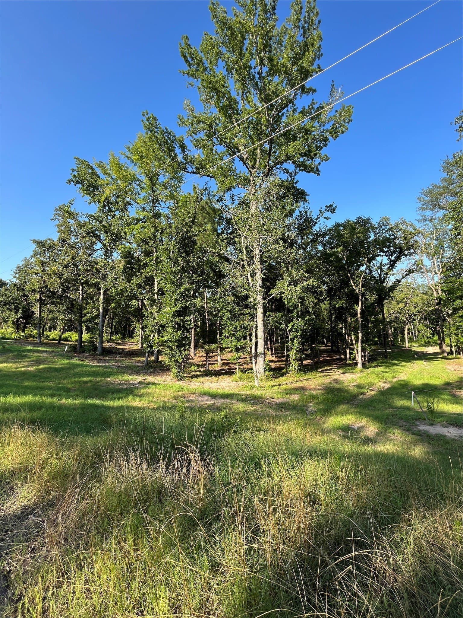 2.38 acres in Henderson County - photo 4