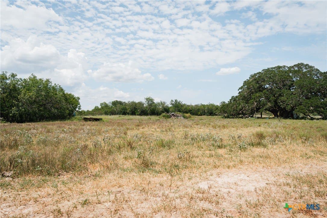 227.17 acres in Goliad County gallery image 4