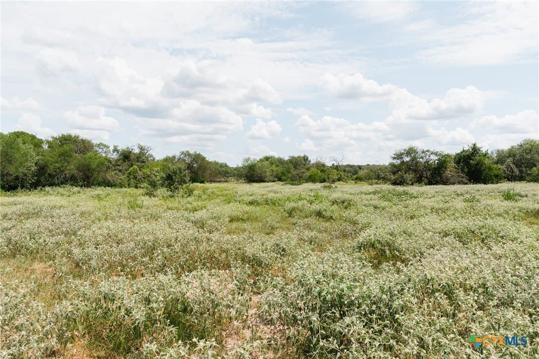 227.17 acres in Goliad County featured view