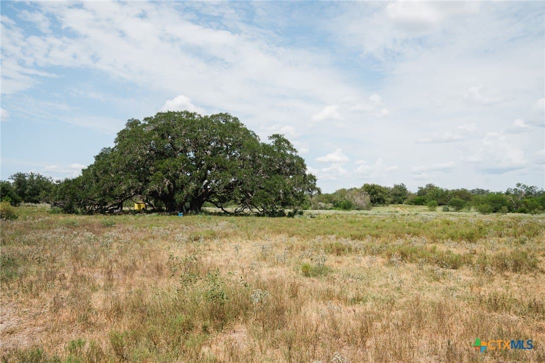 227.17 acres in Goliad County gallery image 3