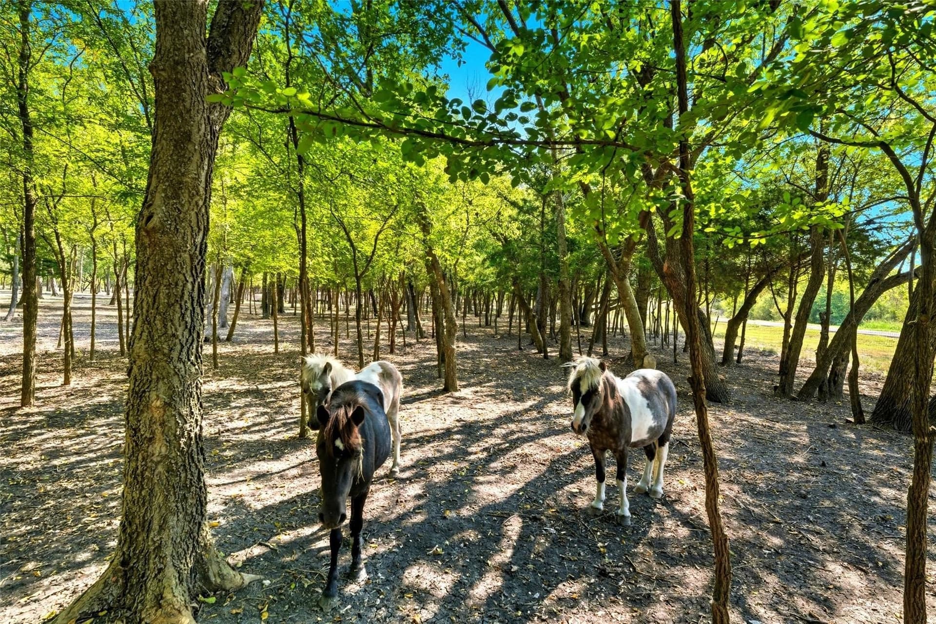 10.24 acres in Ellis County featured view