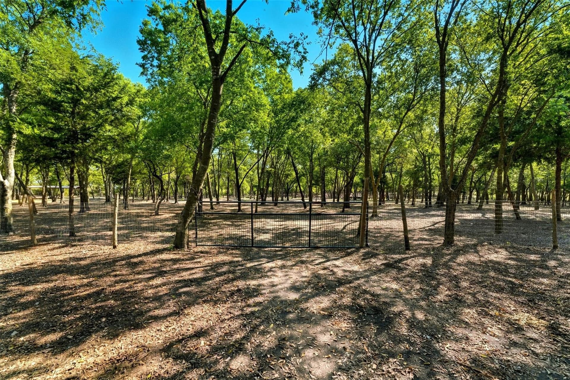 10.24 acres in Ellis County gallery image 4