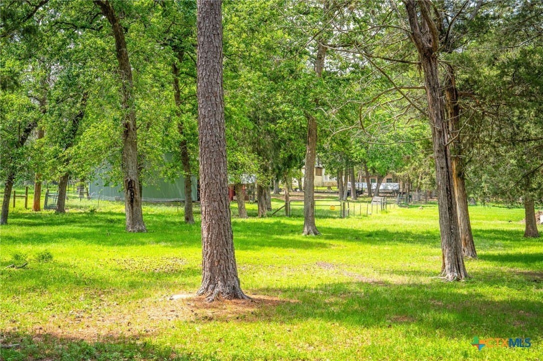 10.2 acres in Colorado County - photo 9