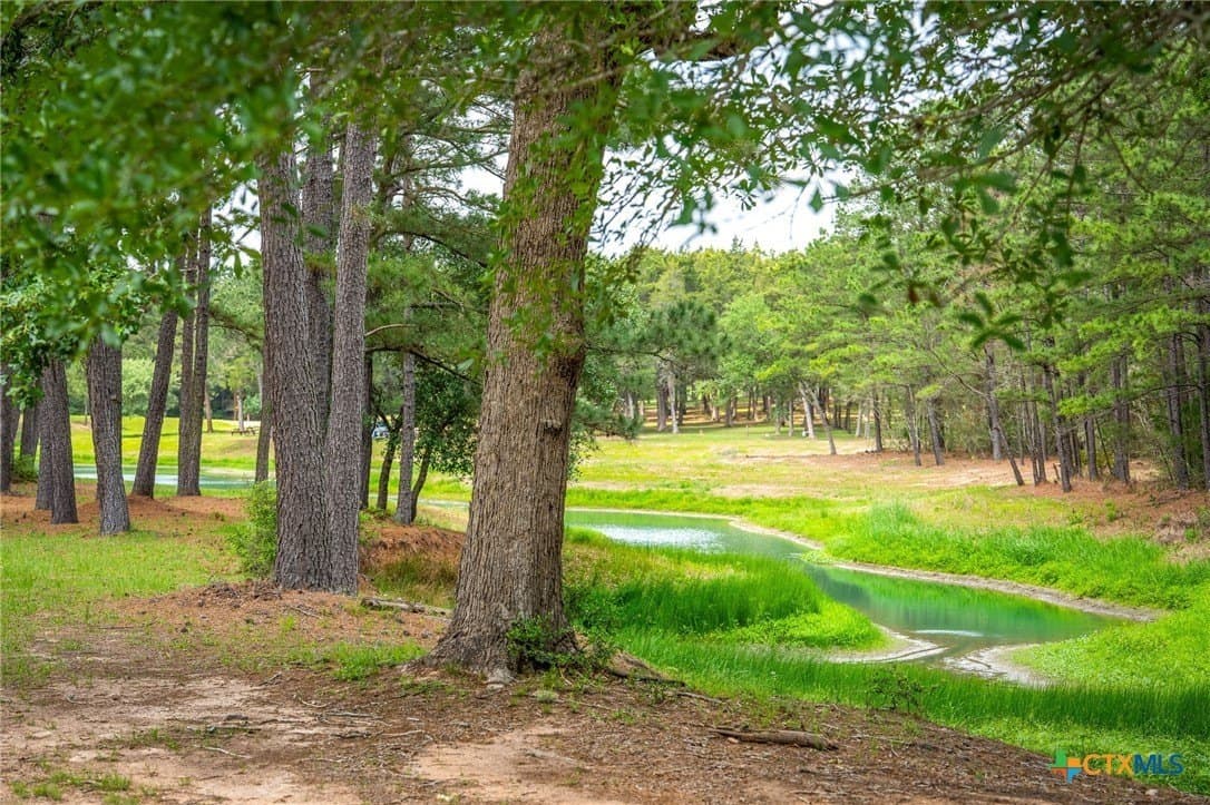 10.2 acres in Colorado County - photo 20