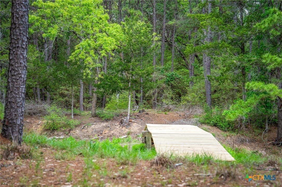 10.2 acres in Colorado County - photo 21
