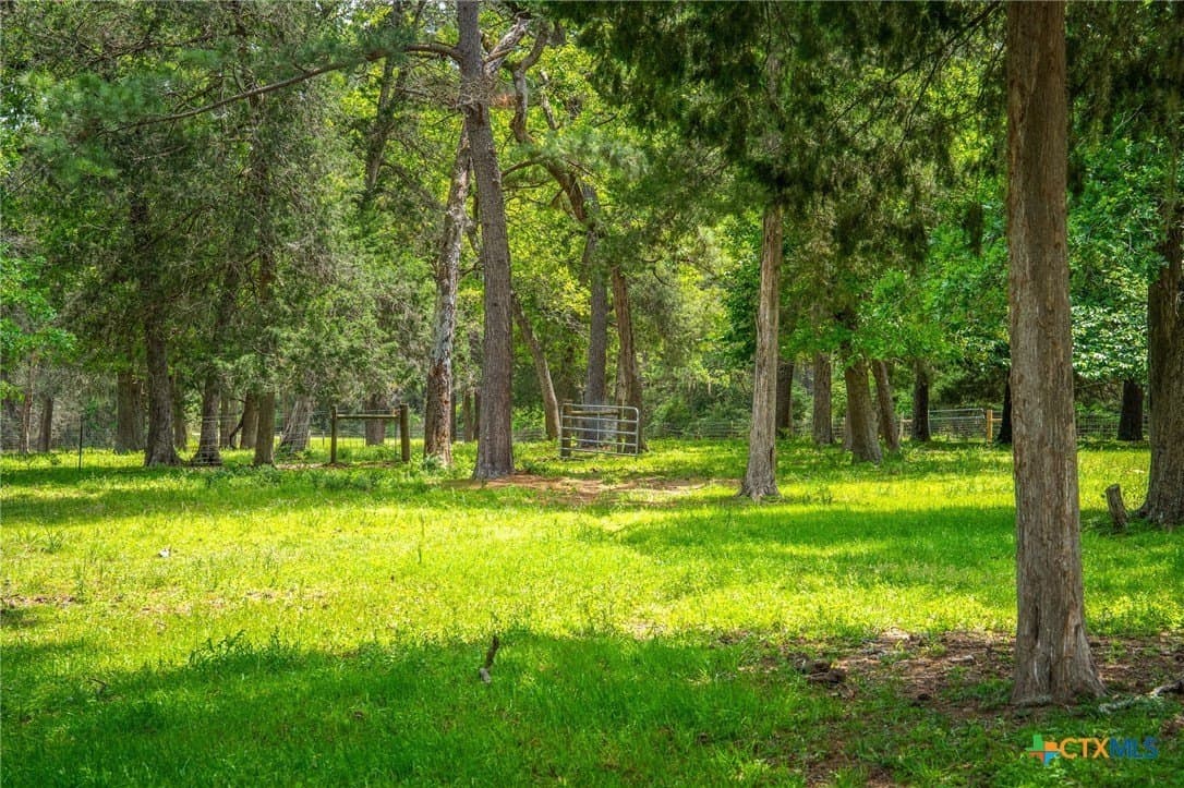 10.2 acres in Colorado County - photo 10
