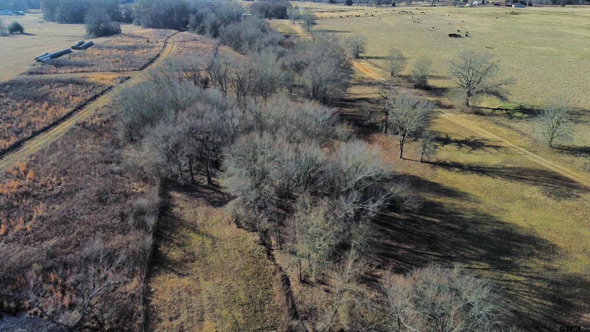 18.72 acres in Henderson County gallery image 3